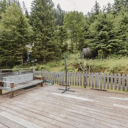 Apartment Dp Mountain Lab Top 3 By Interhome Bad Gastein